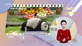 久草在线视频网站